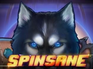Spinsane screenshot