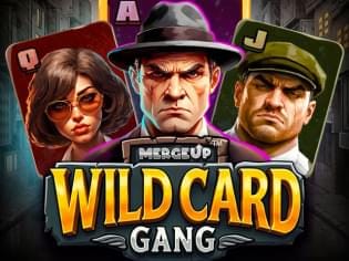 Wild Card Gang screenshot