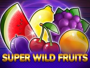 Super Wild Fruits screenshot